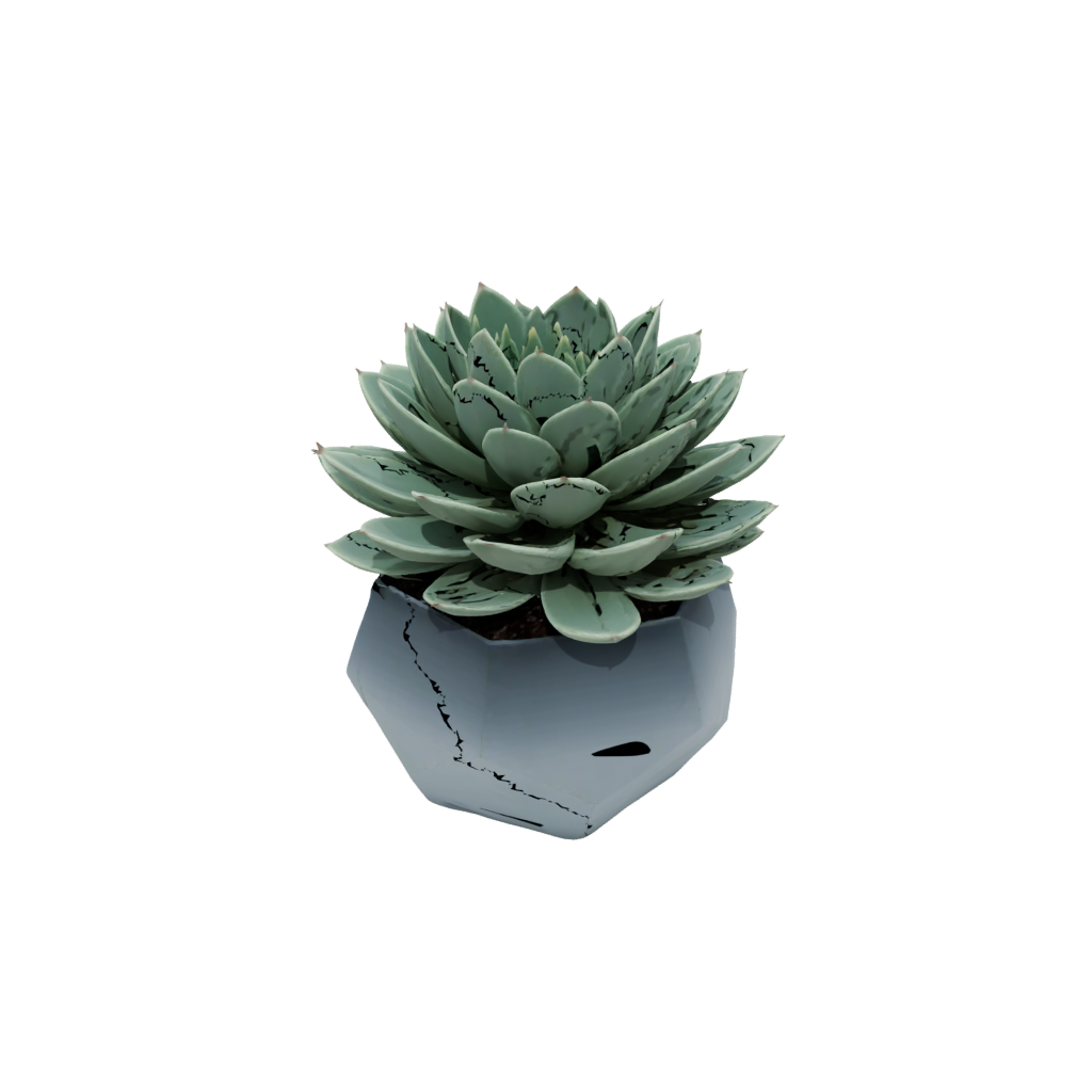 Neon Modern Succulent Planter
