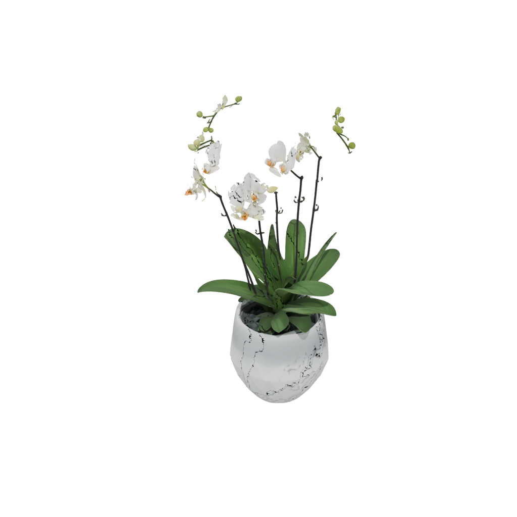 Neon Orchid Pot With Drainage
