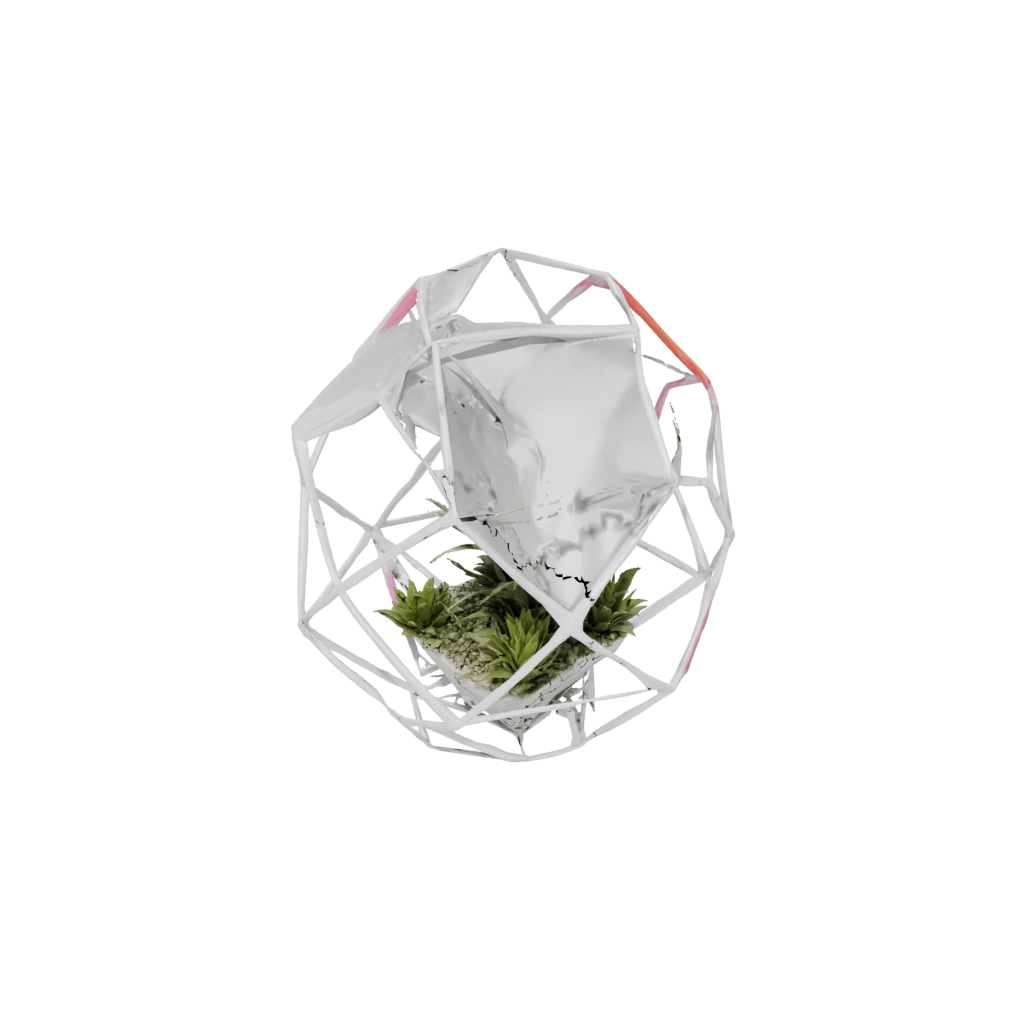 Neon Organic Geometric Terrarium Frame