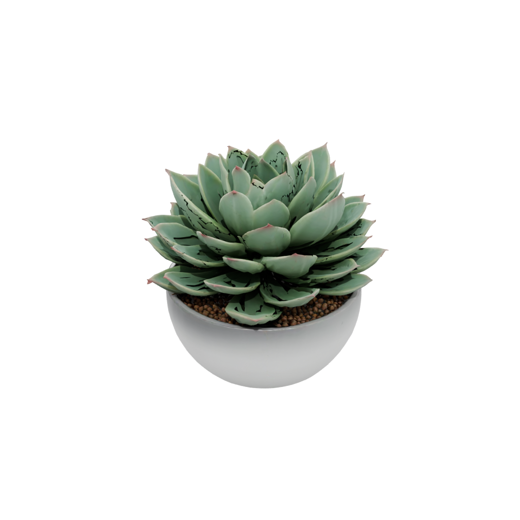 Neon Organic Modern Succulent Planter