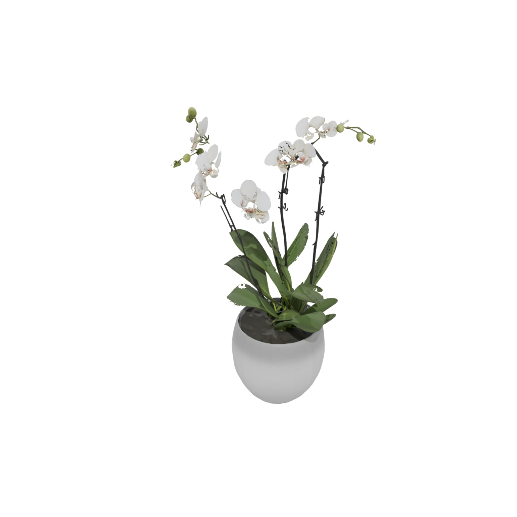 Neon Organic Orchid Pot With Drainage