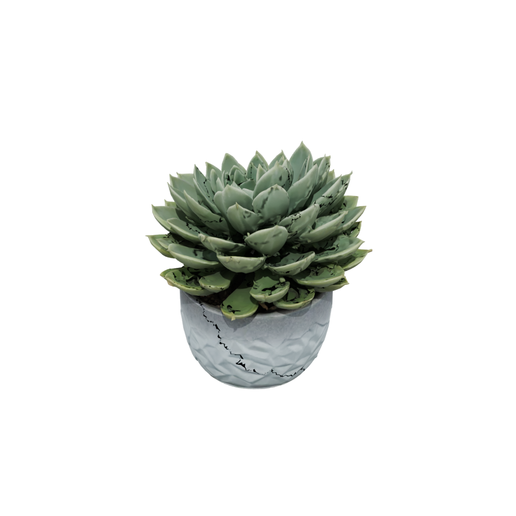 Neon Rustic Modern Succulent Planter