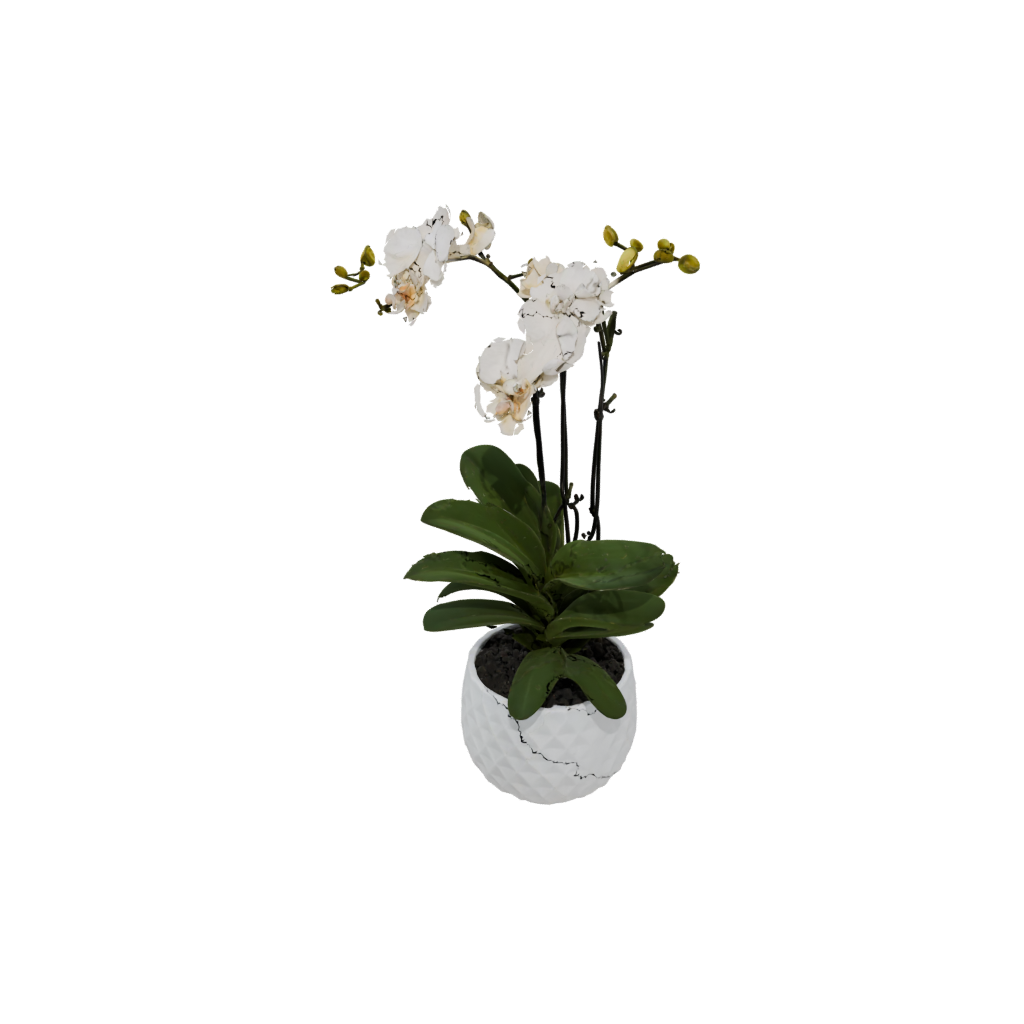 Neon Rustic Orchid Pot With Drainage