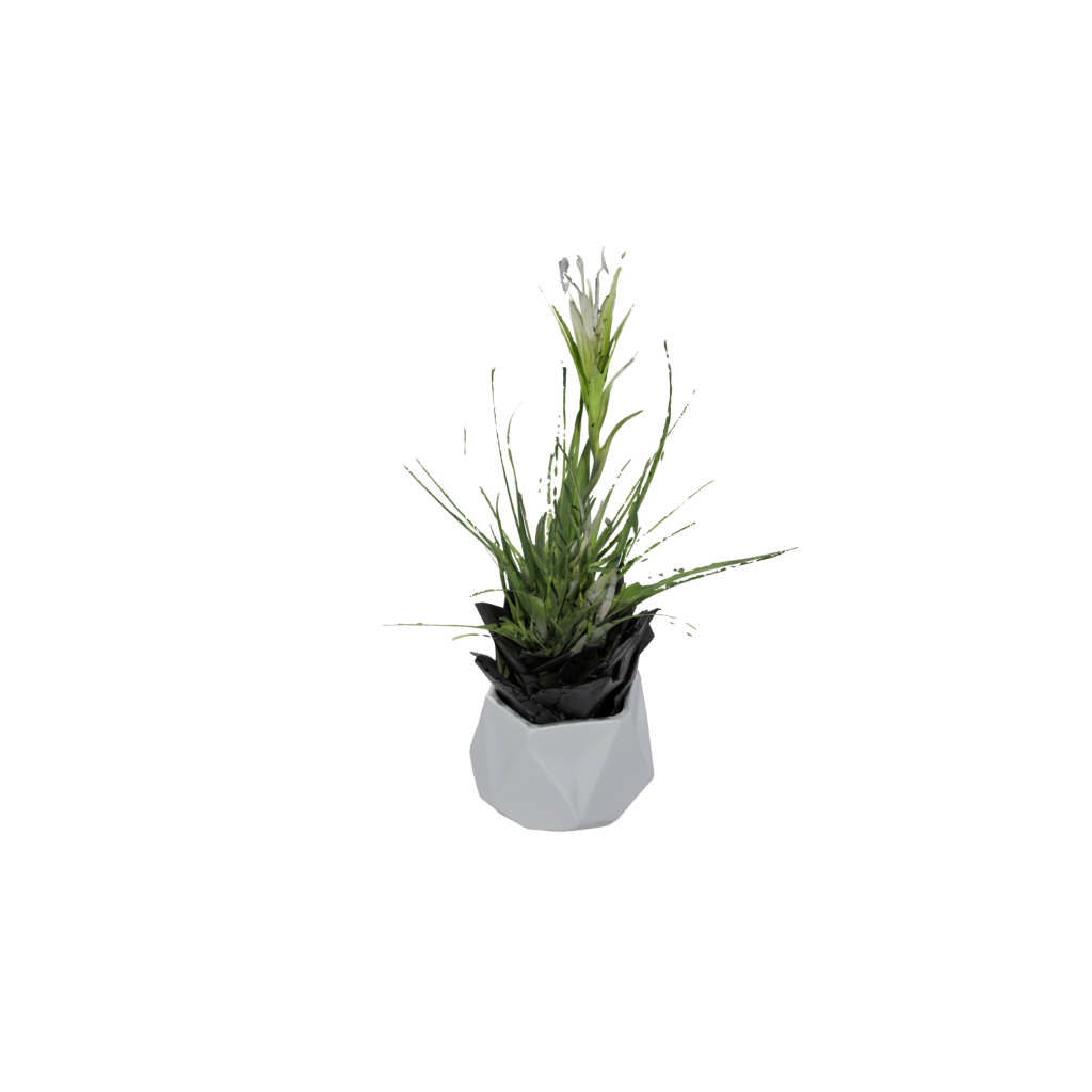 Obsidian Deco Air-Plant Holder