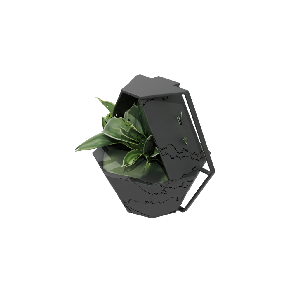 Obsidian Deco Hexagon Wall Planter