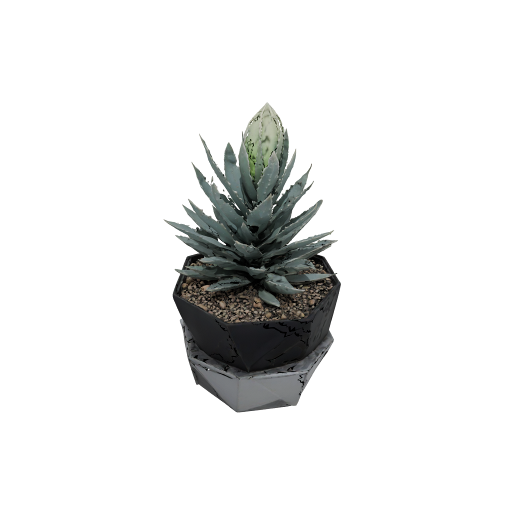 Obsidian Deco Modern Succulent Planter