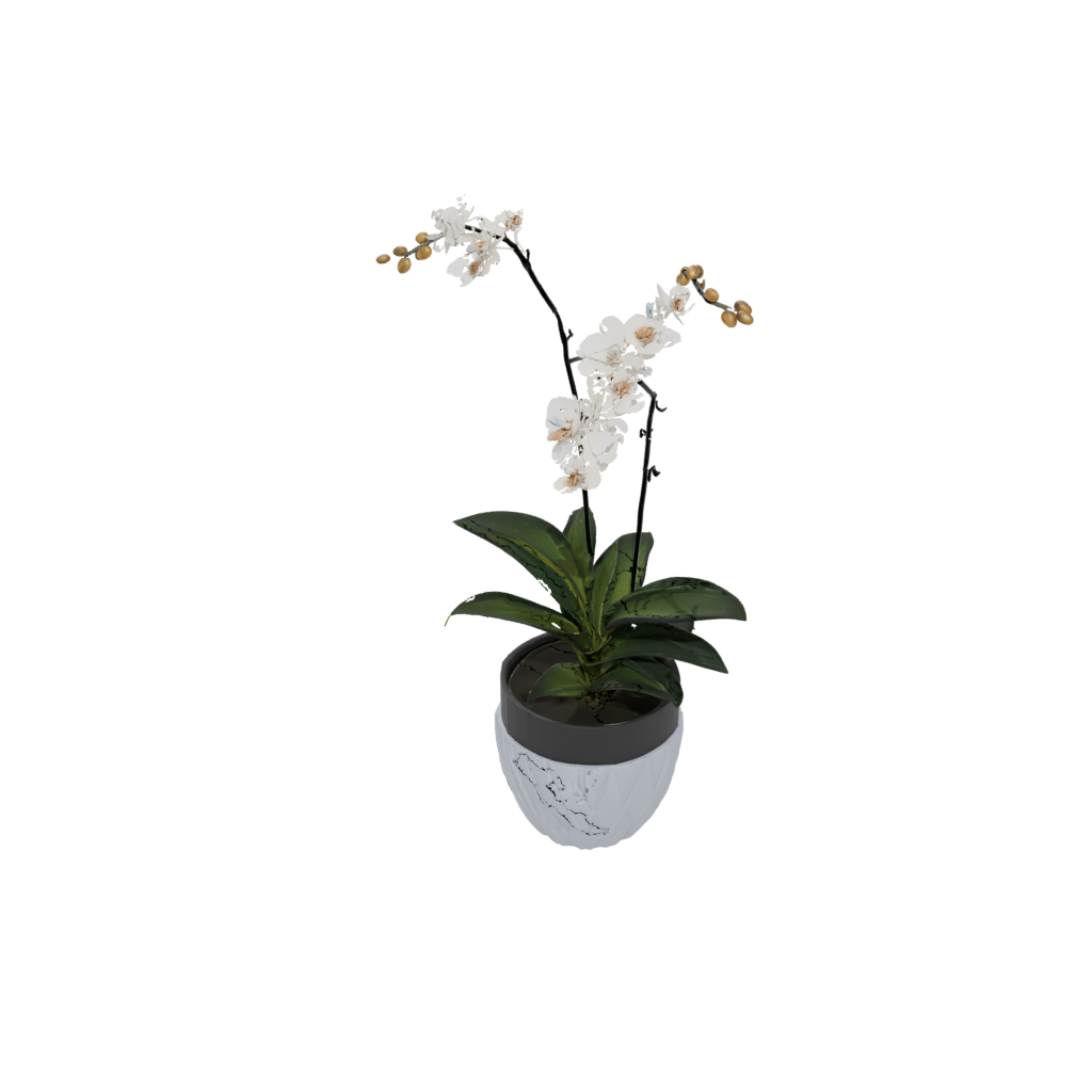 Obsidian Deco Orchid Pot With Drainage