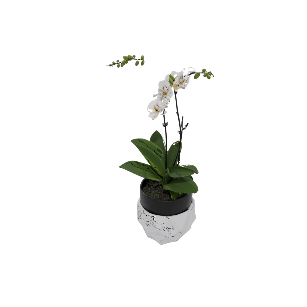 Obsidian Geometric Orchid Pot With Drainage