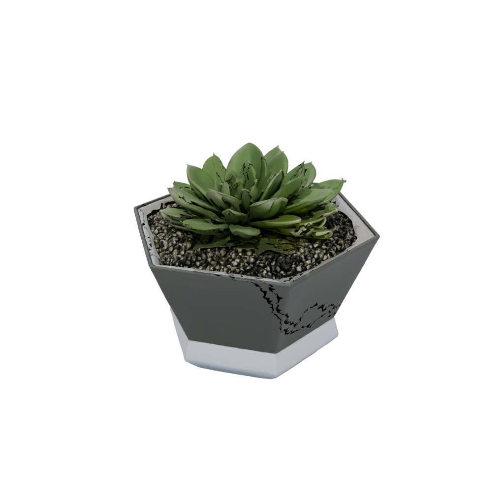 Obsidian Modern Succulent Planter