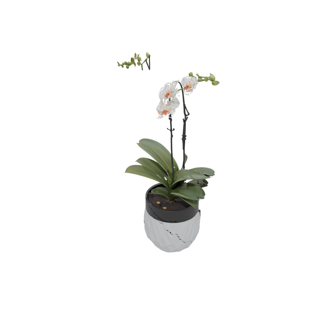 Obsidian Orchid Pot With Drainage