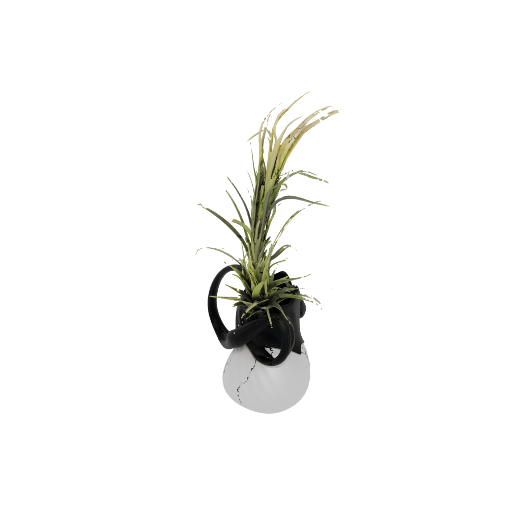Obsidian Organic Air-Plant Holder