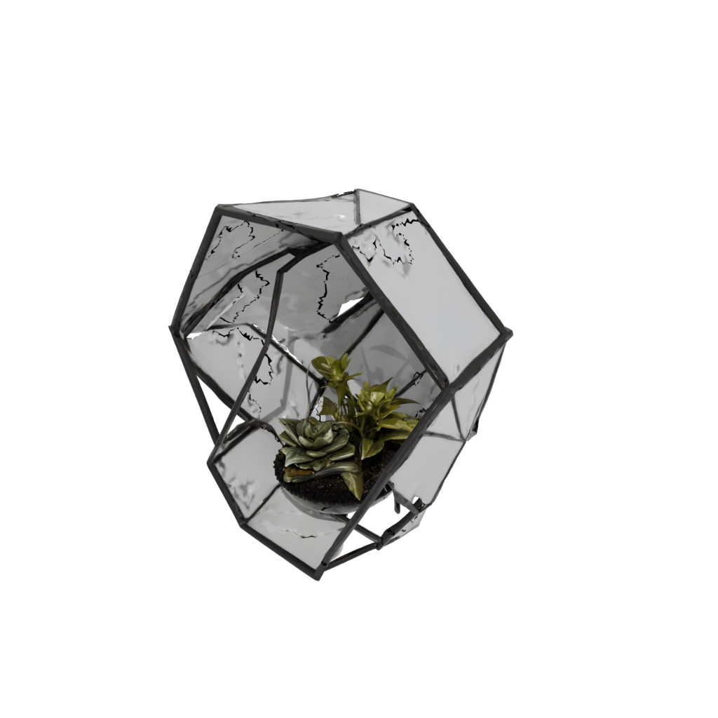Obsidian Organic Geometric Terrarium Frame