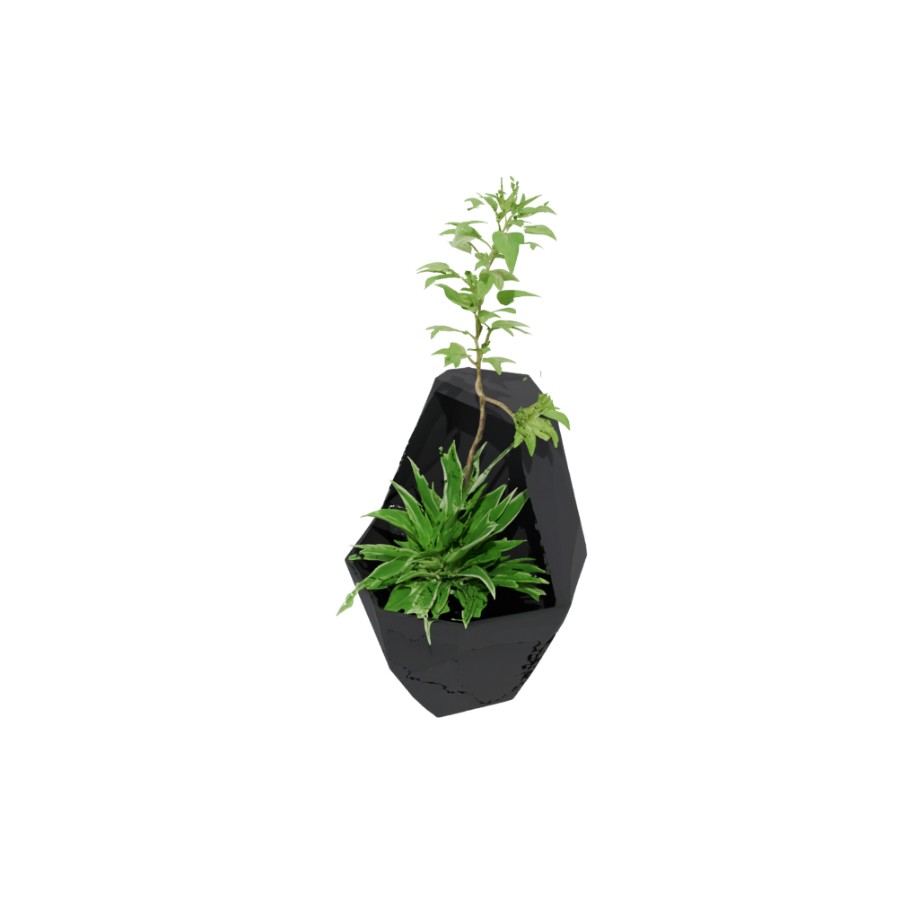 Obsidian Organic Hexagon Wall Planter