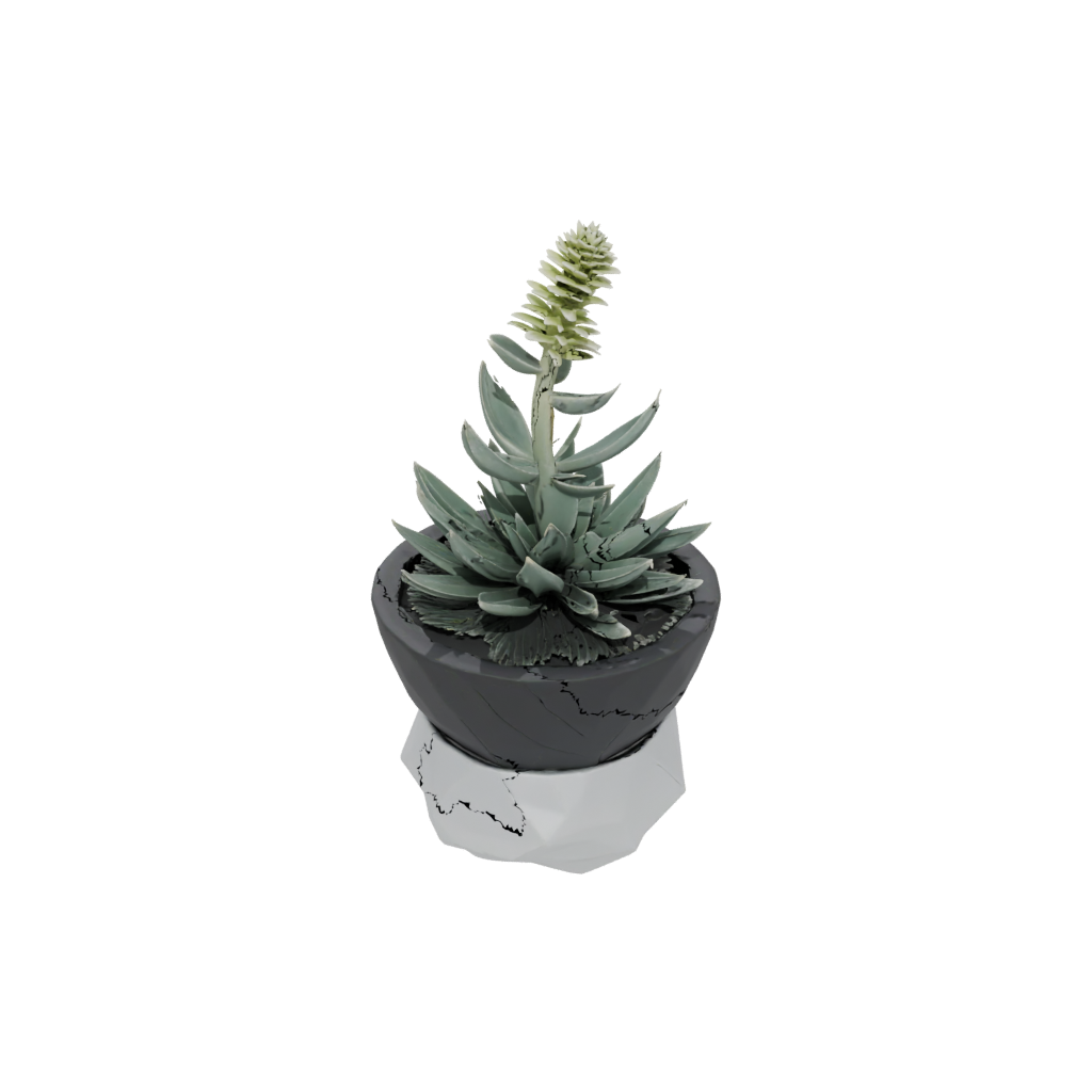 Obsidian Organic Modern Succulent Planter