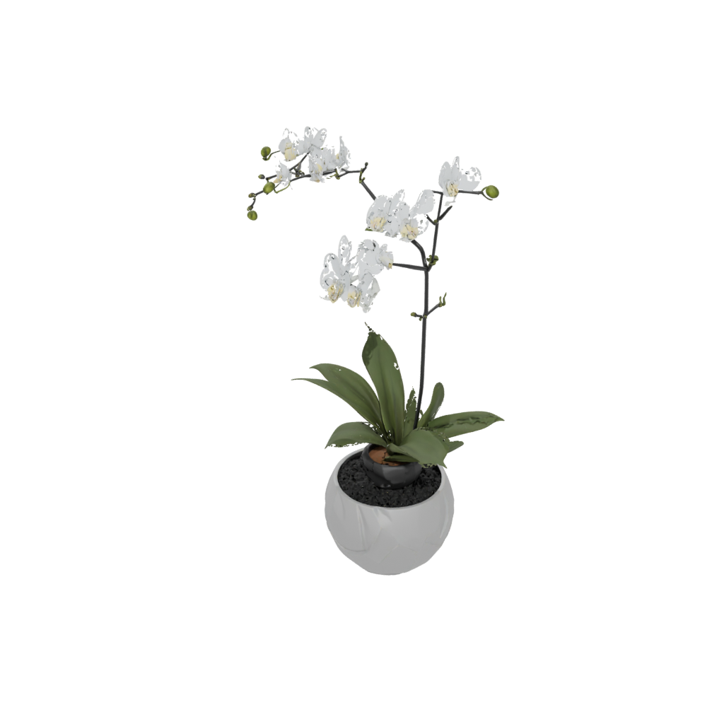 Obsidian Organic Orchid Pot With Drainage