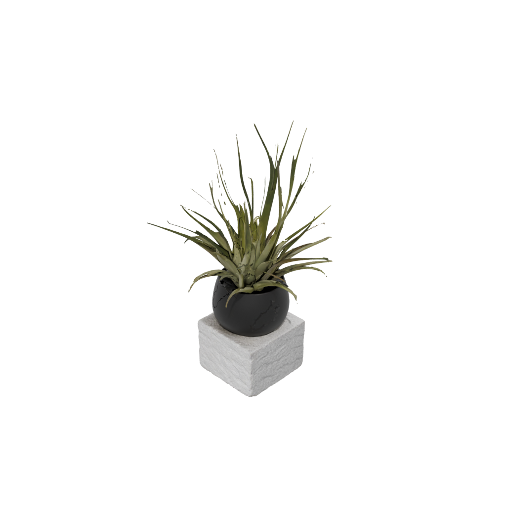 Obsidian Rustic Air-Plant Holder