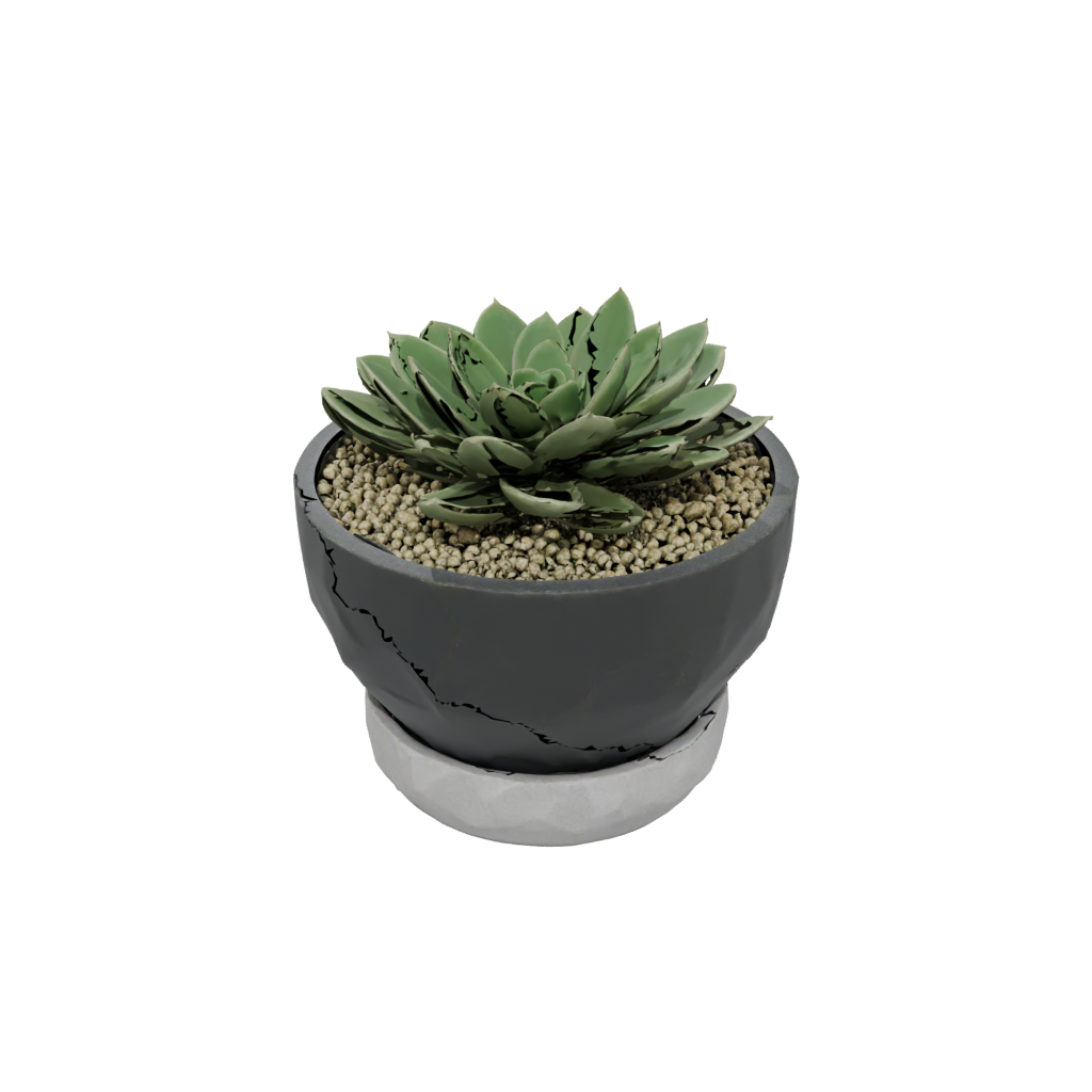 Obsidian Rustic Modern Succulent Planter