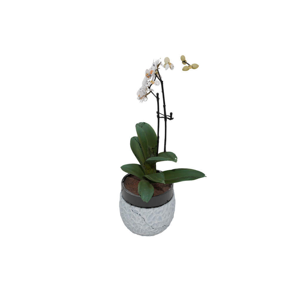 Obsidian Rustic Orchid Pot With Drainage