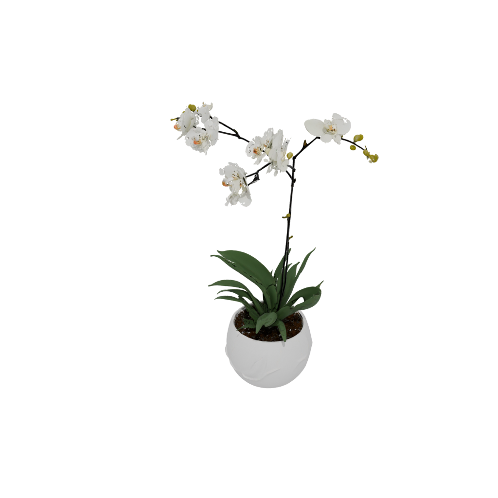 Organic Orchid Pot With Drainage