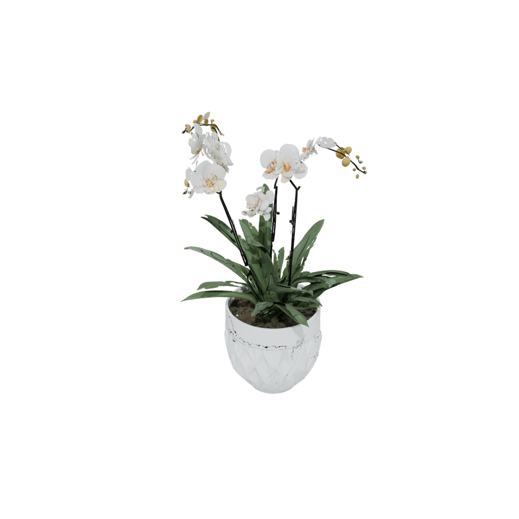 Pastel Deco Orchid Pot With Drainage