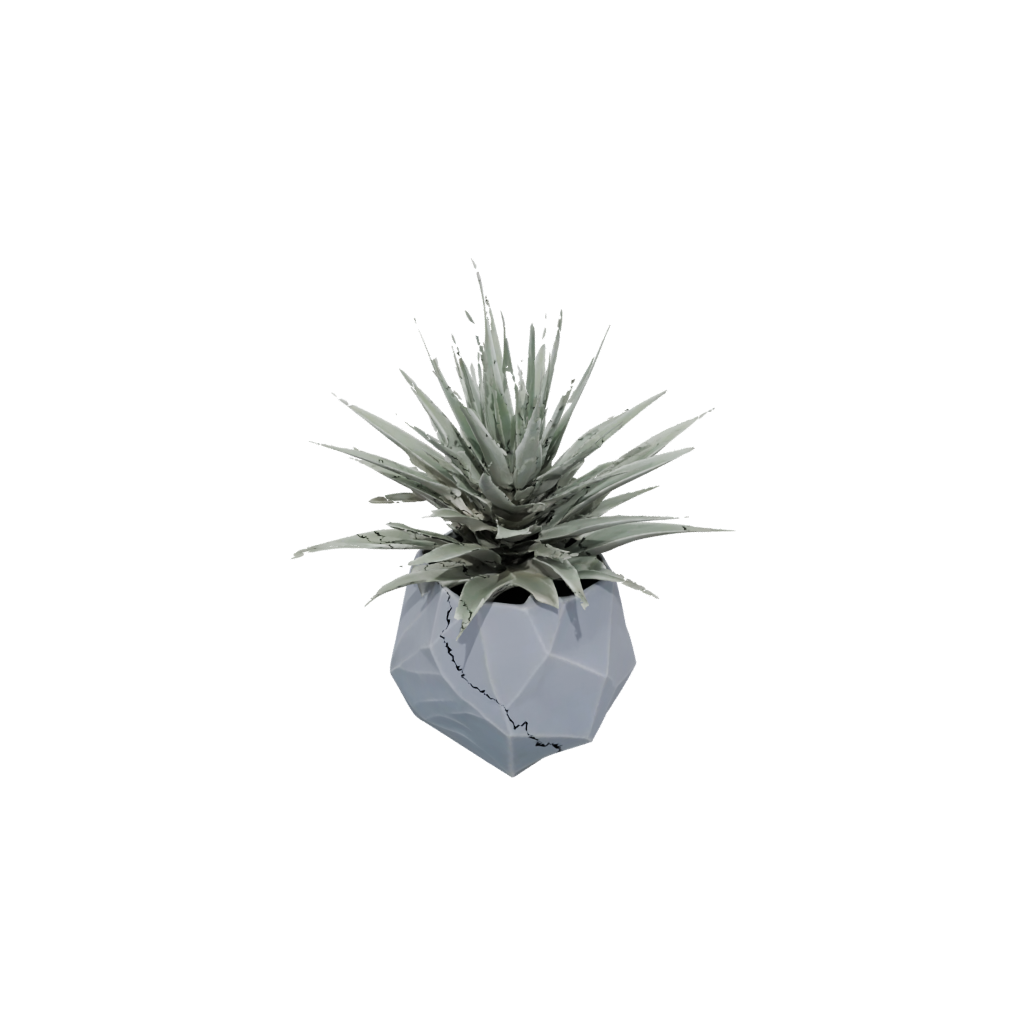 Pastel Geometric Air-Plant Holder