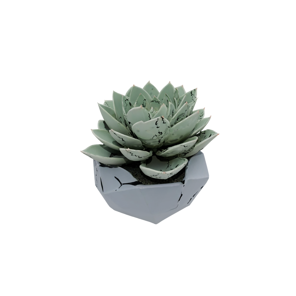 Pastel Geometric Modern Succulent Planter