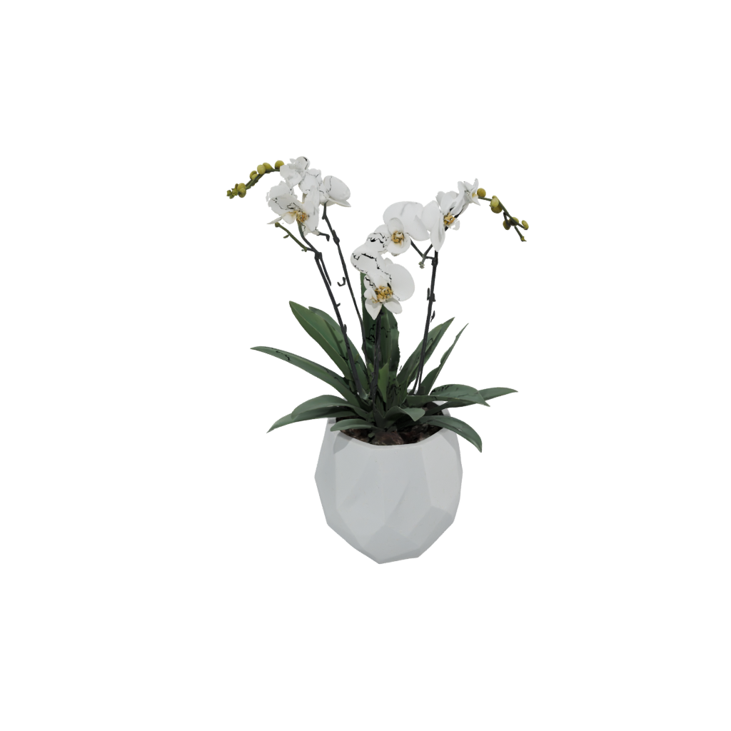 Pastel Geometric Orchid Pot With Drainage