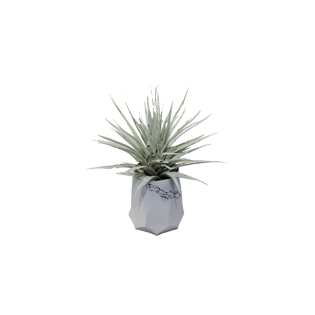 Pastel Air-Plant Holder