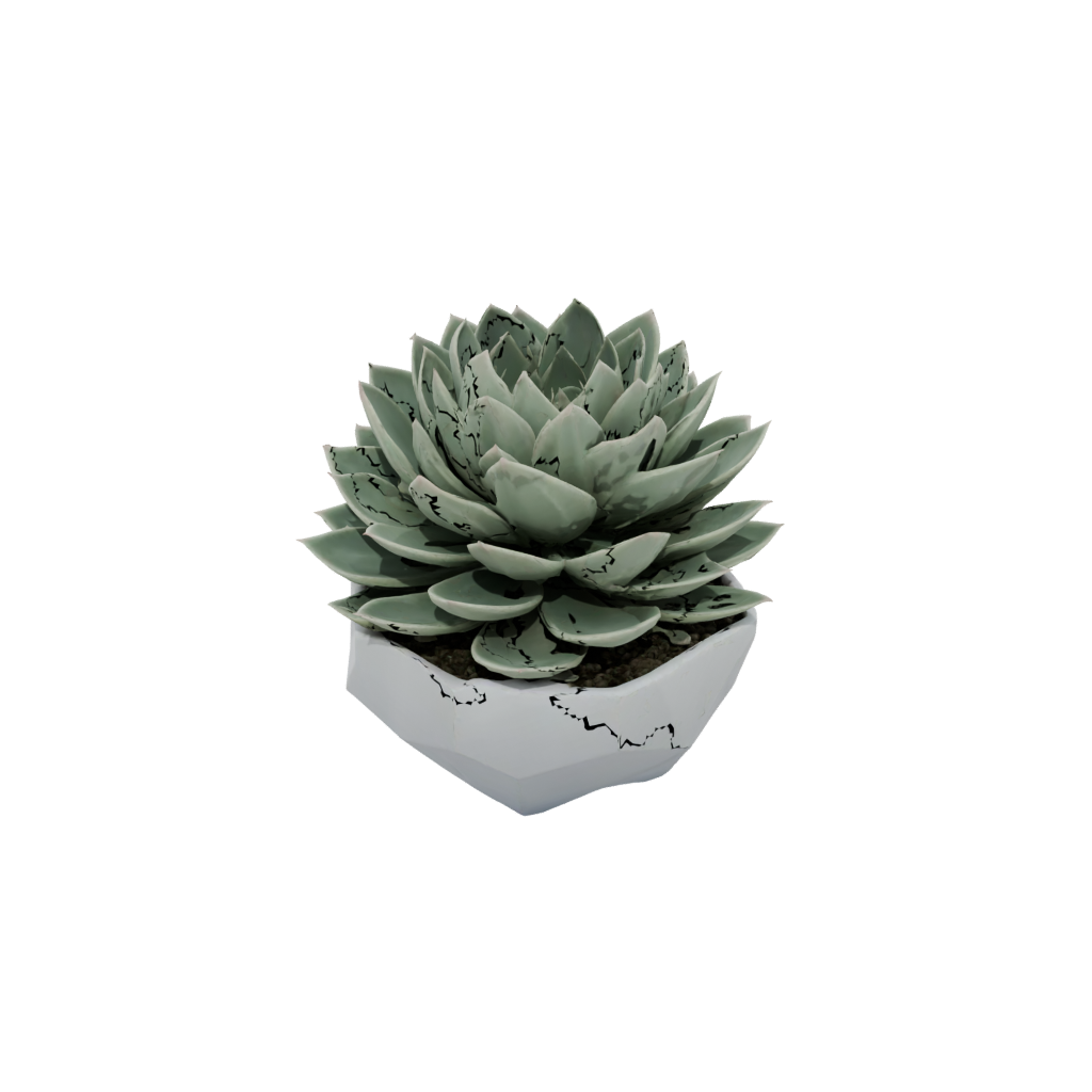 Pastel Modern Succulent Planter