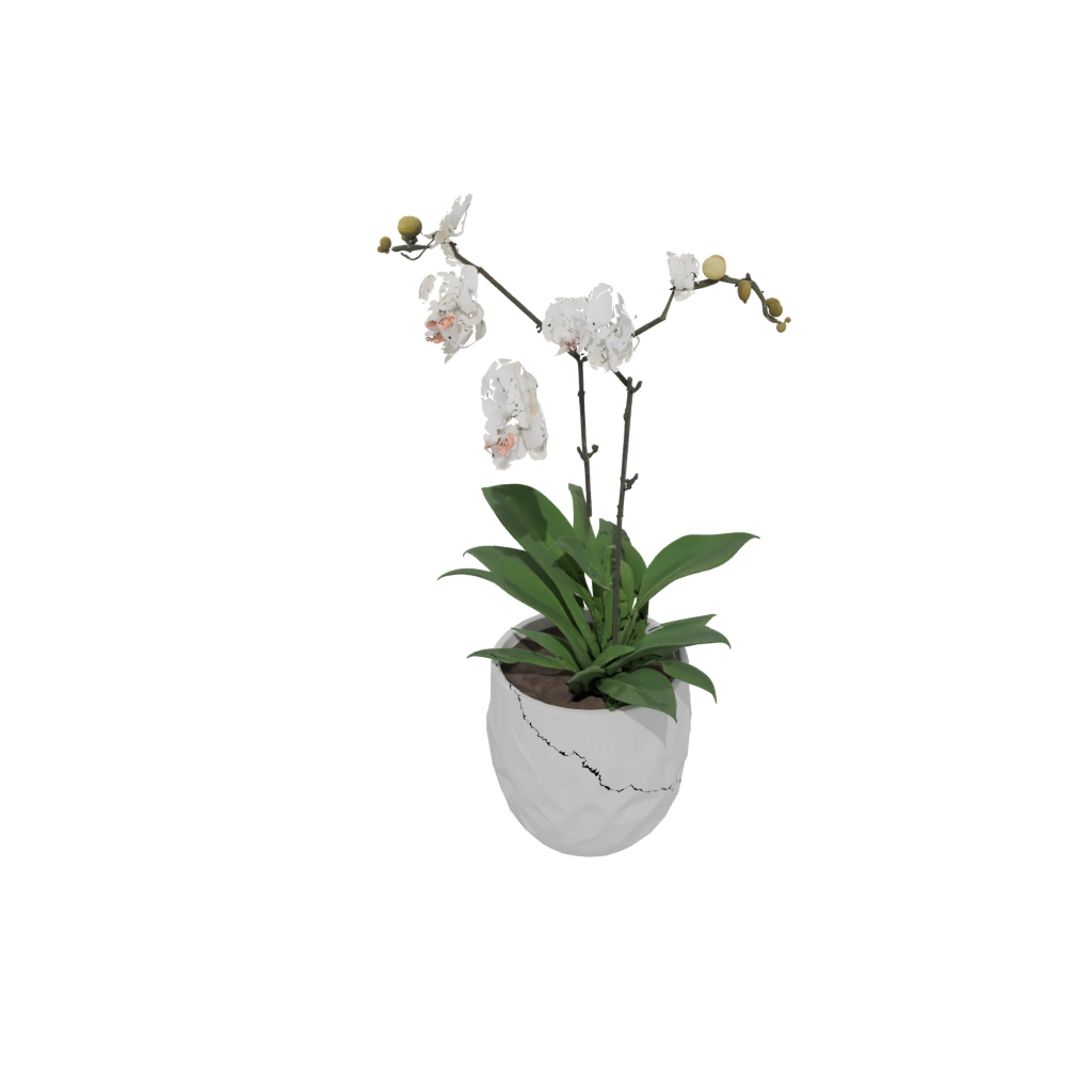 Pastel Orchid Pot With Drainage