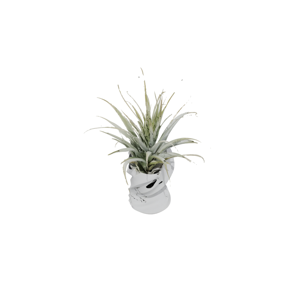 Pastel Organic Air-Plant Holder