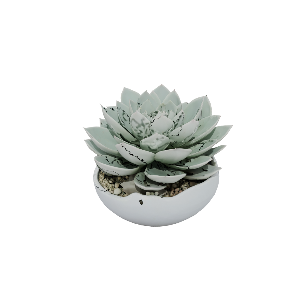 Pastel Organic Modern Succulent Planter
