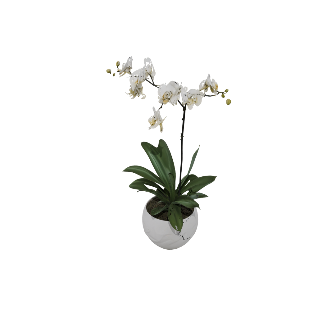 Pastel Organic Orchid Pot With Drainage