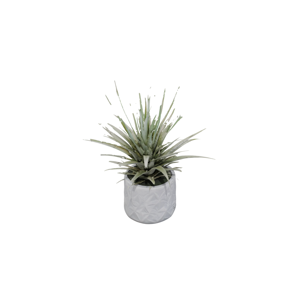 Pastel Rustic Air-Plant Holder