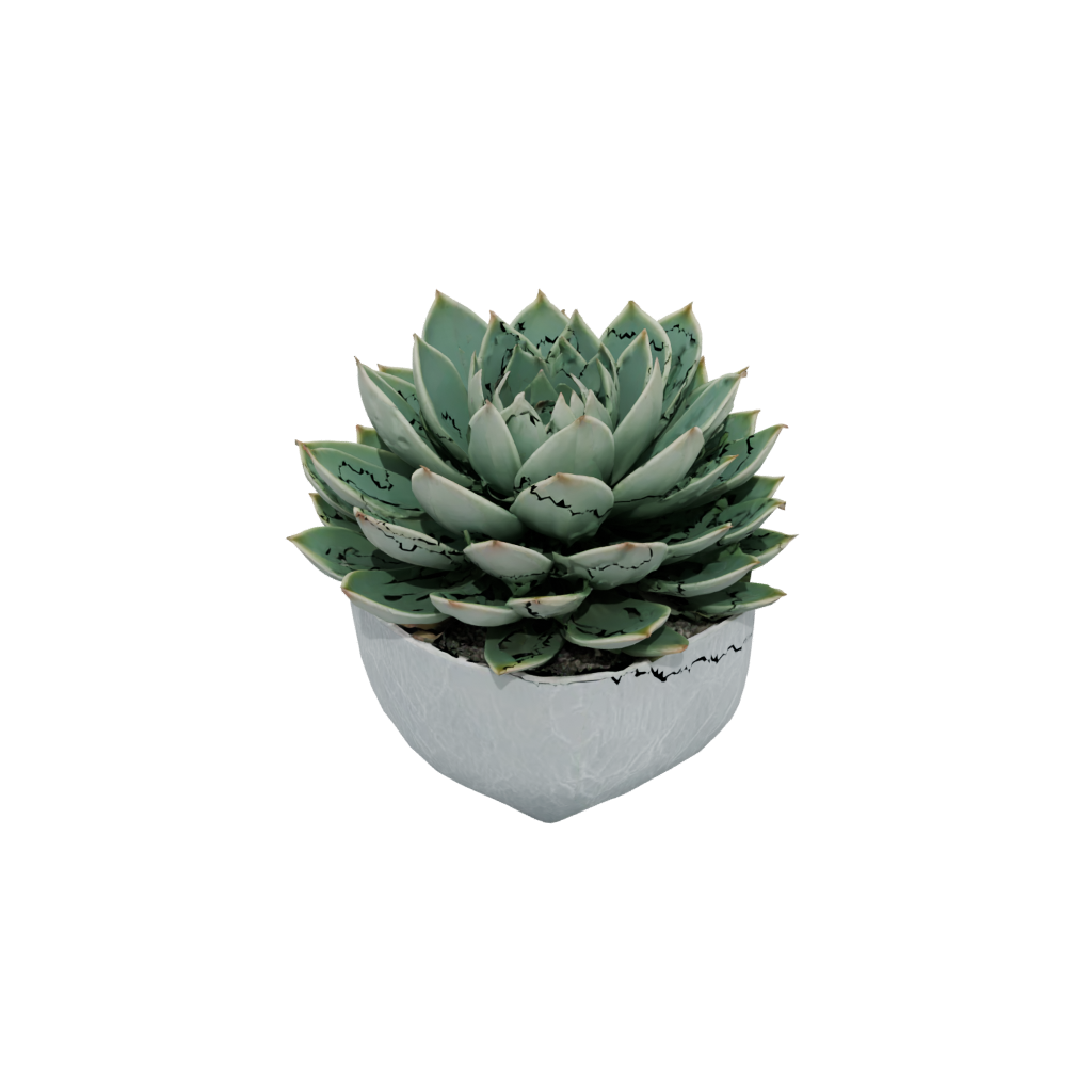 Pastel Rustic Modern Succulent Planter