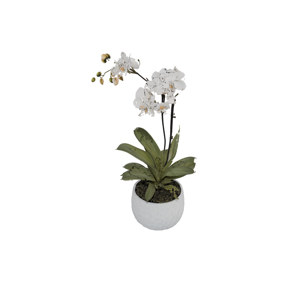 Pastel Rustic Orchid Pot With Drainage