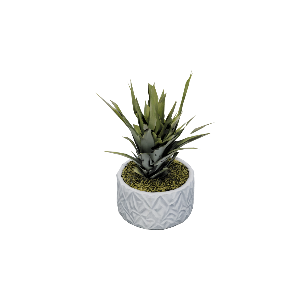 Rustic Air-Plant Holder