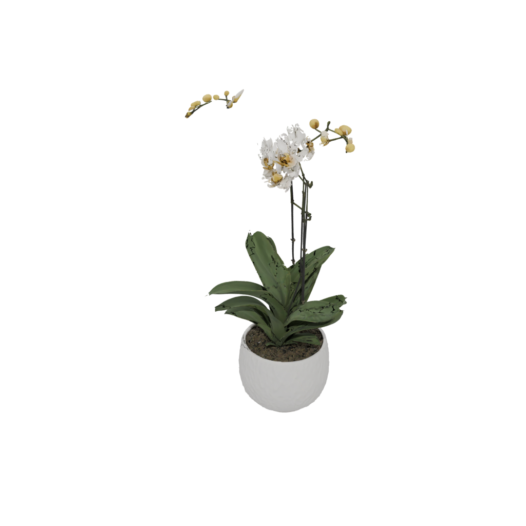 Rustic Orchid Pot With Drainage