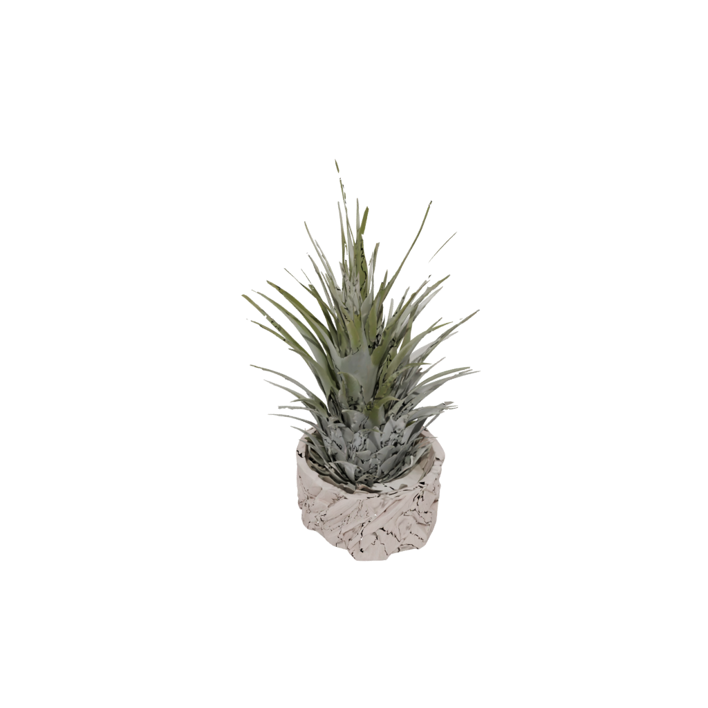 Woodgrain Deco Air-Plant Holder