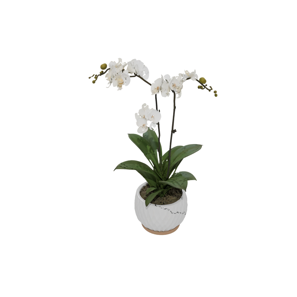 Woodgrain Deco Orchid Pot With Drainage