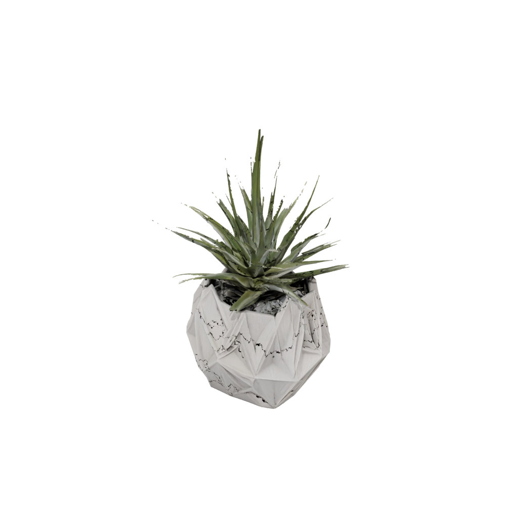 Woodgrain Geometric Air-Plant Holder