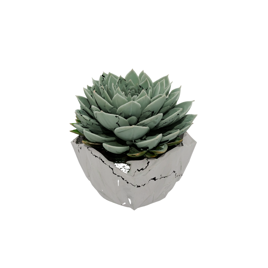 Woodgrain Geometric Modern Succulent Planter