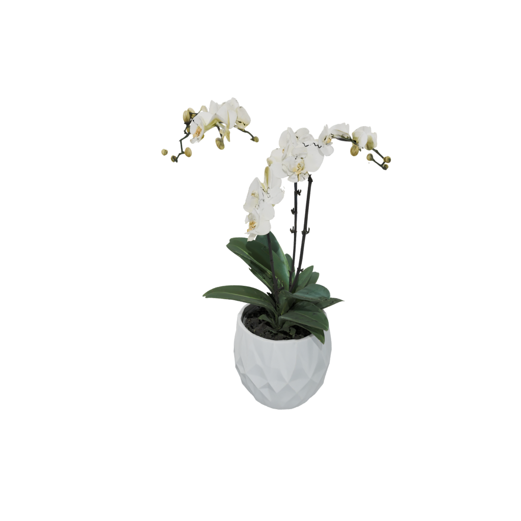 Woodgrain Geometric Orchid Pot With Drainage