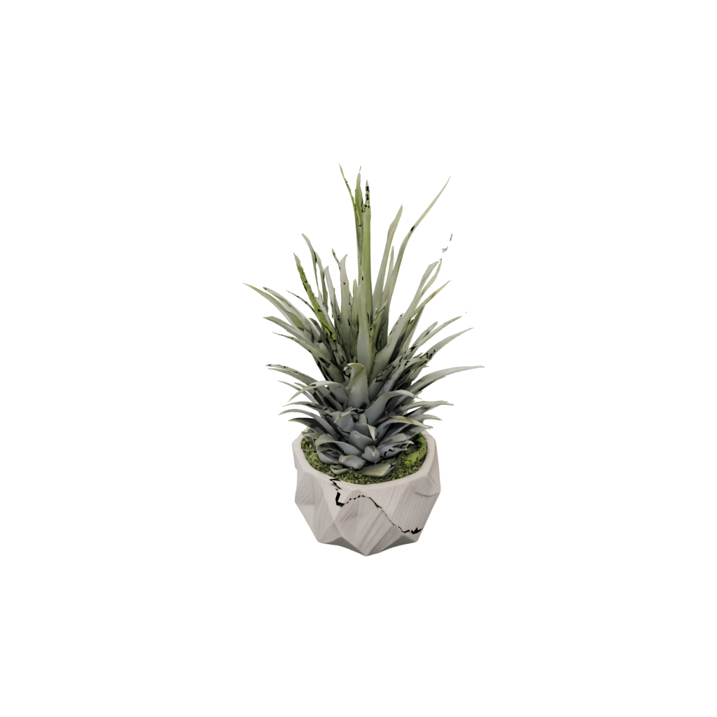 Woodgrain Air-Plant Holder