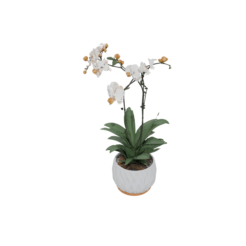 Woodgrain Orchid Pot With Drainage