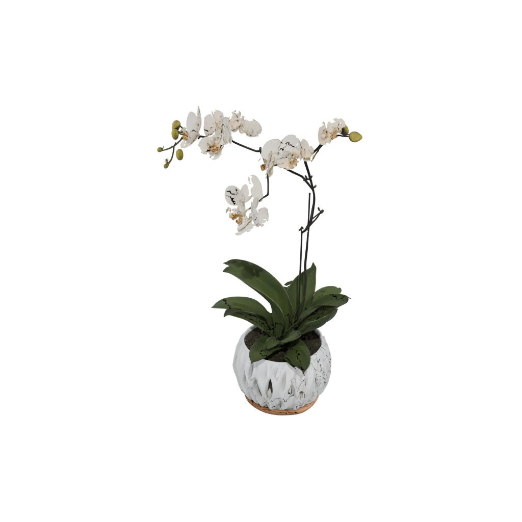 Woodgrain Organic Orchid Pot With Drainage