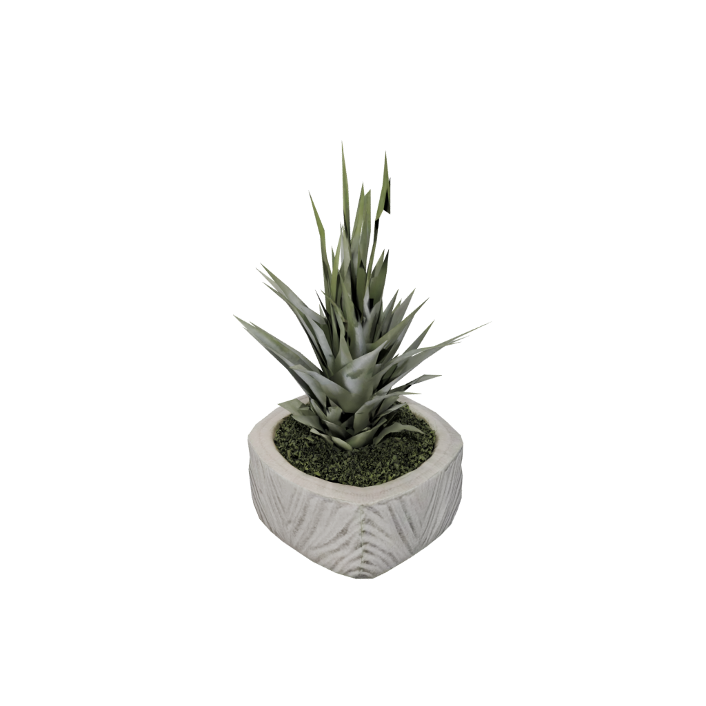Woodgrain Rustic Air-Plant Holder