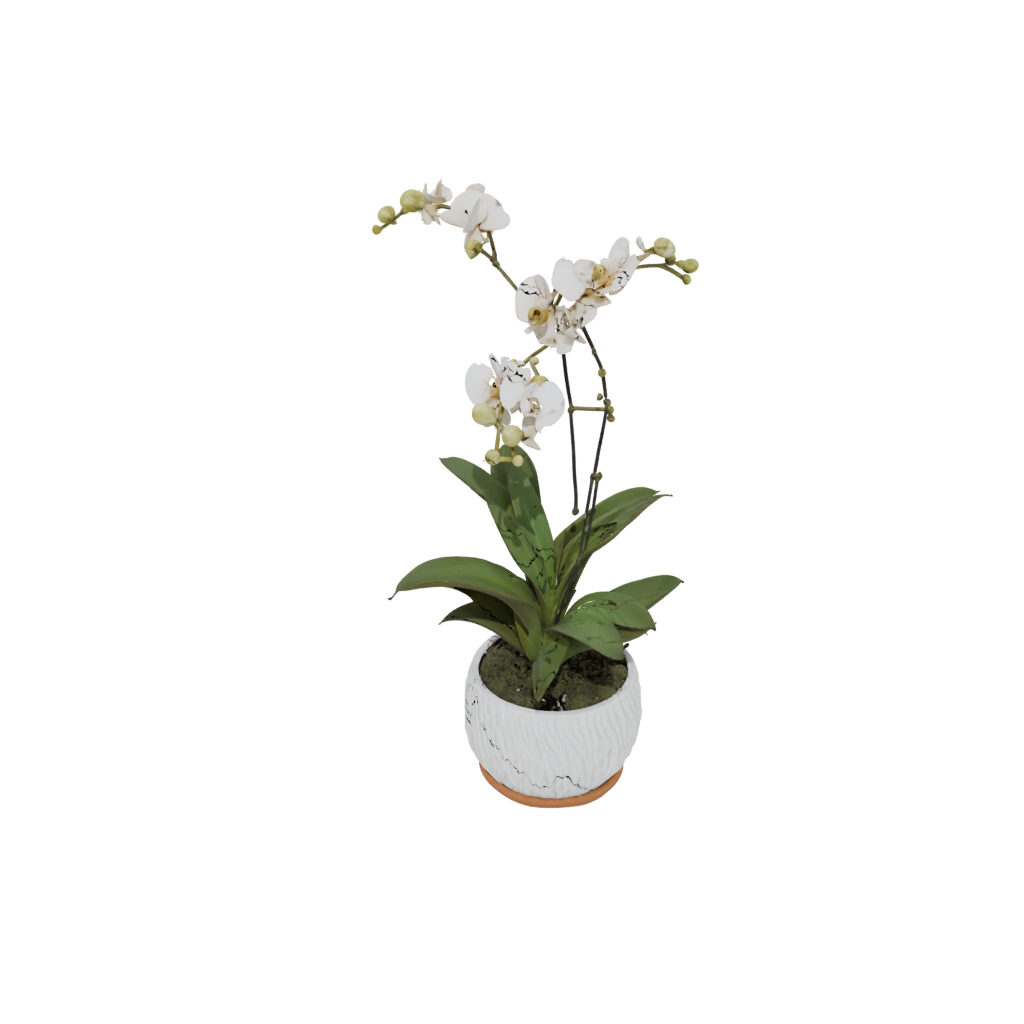 Woodgrain Rustic Orchid Pot With Drainage