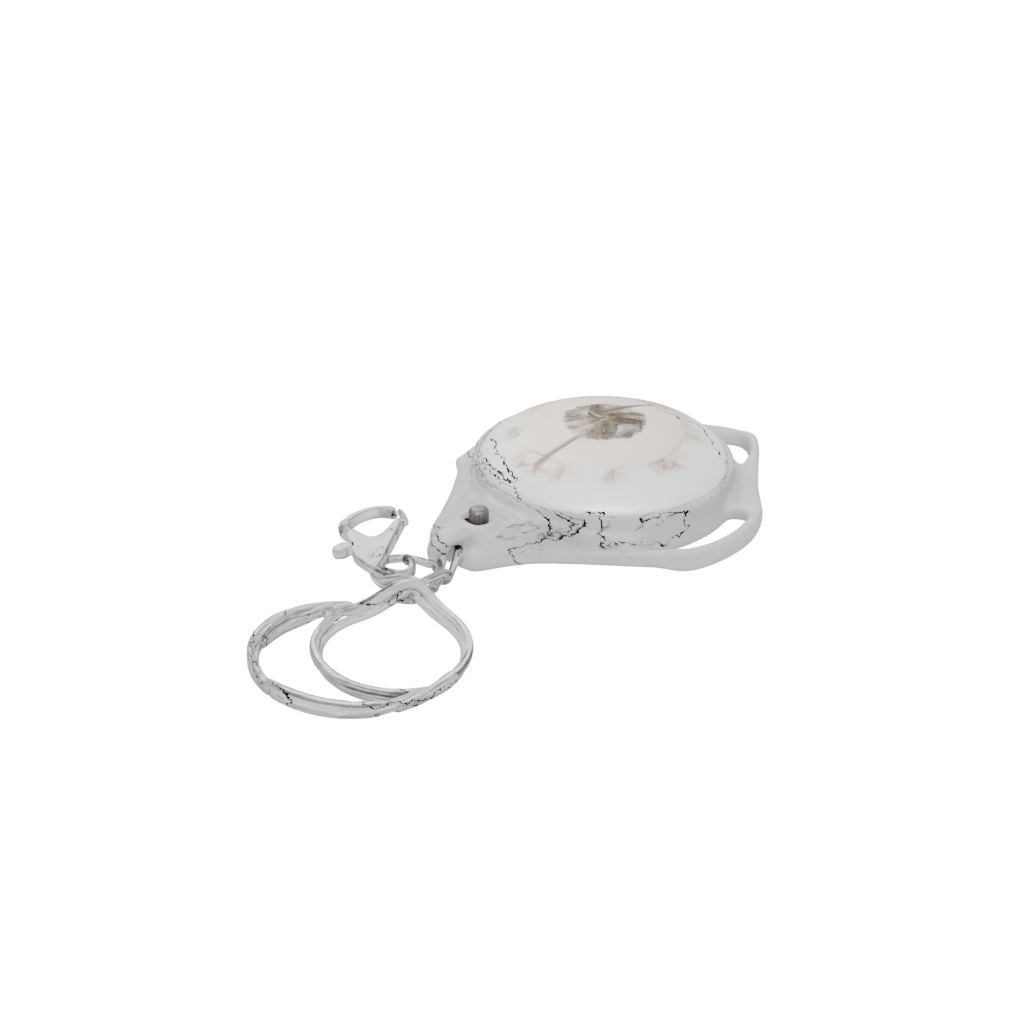 Crystal Compass Charm