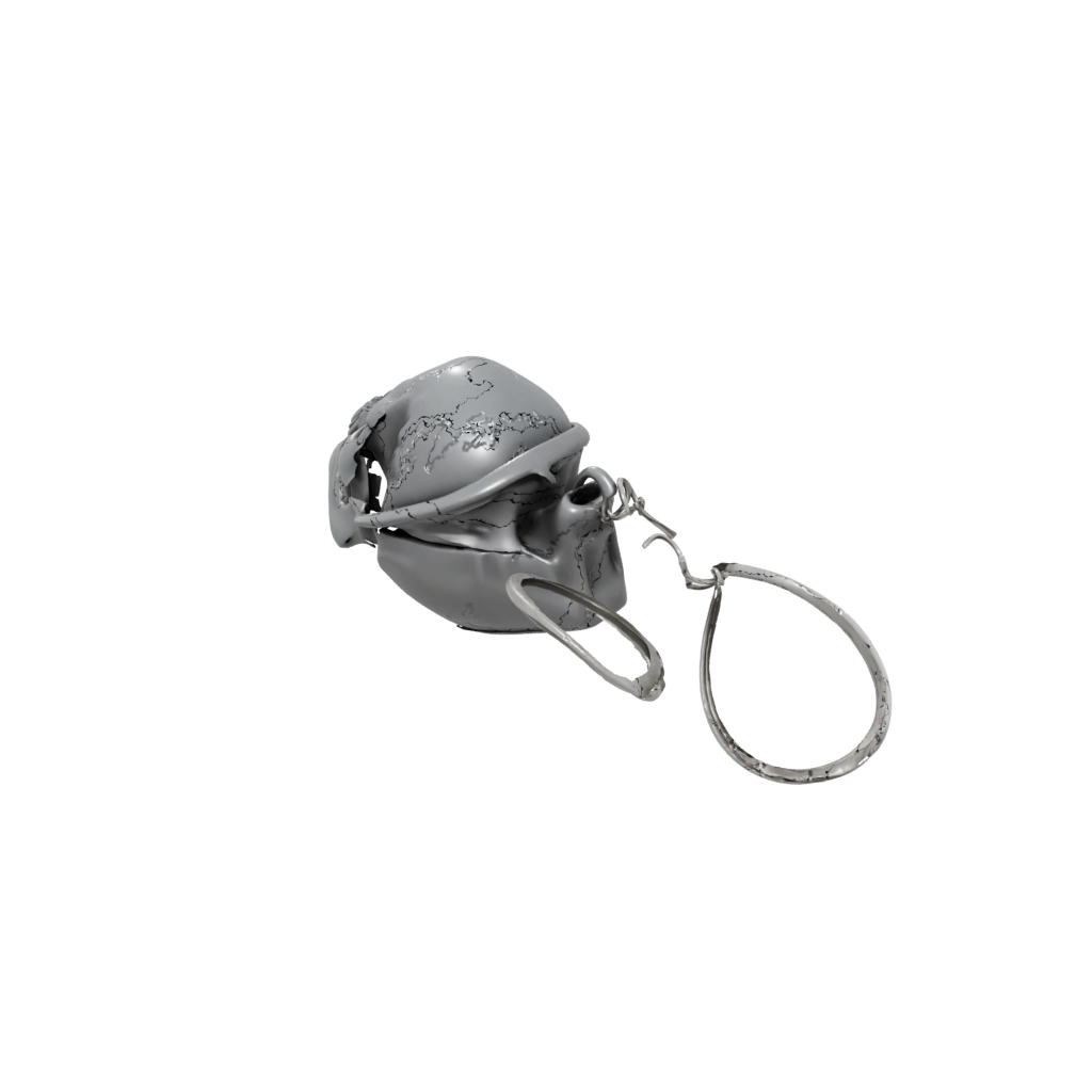 Galaxy 3D Skull Charm
